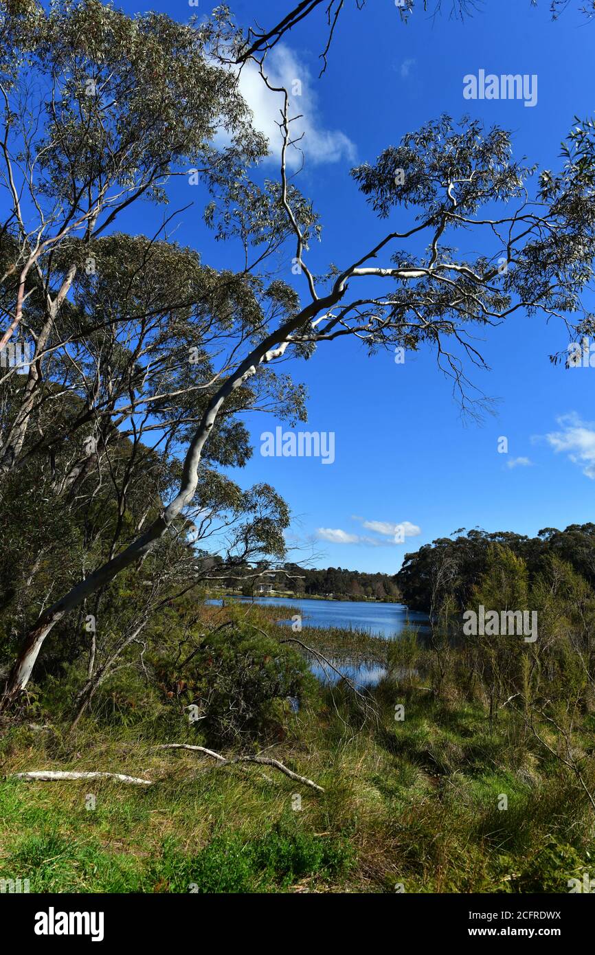 Vue sur le lac Wentworth Falls dans les Blue Mountains, en Australie Banque D'Images