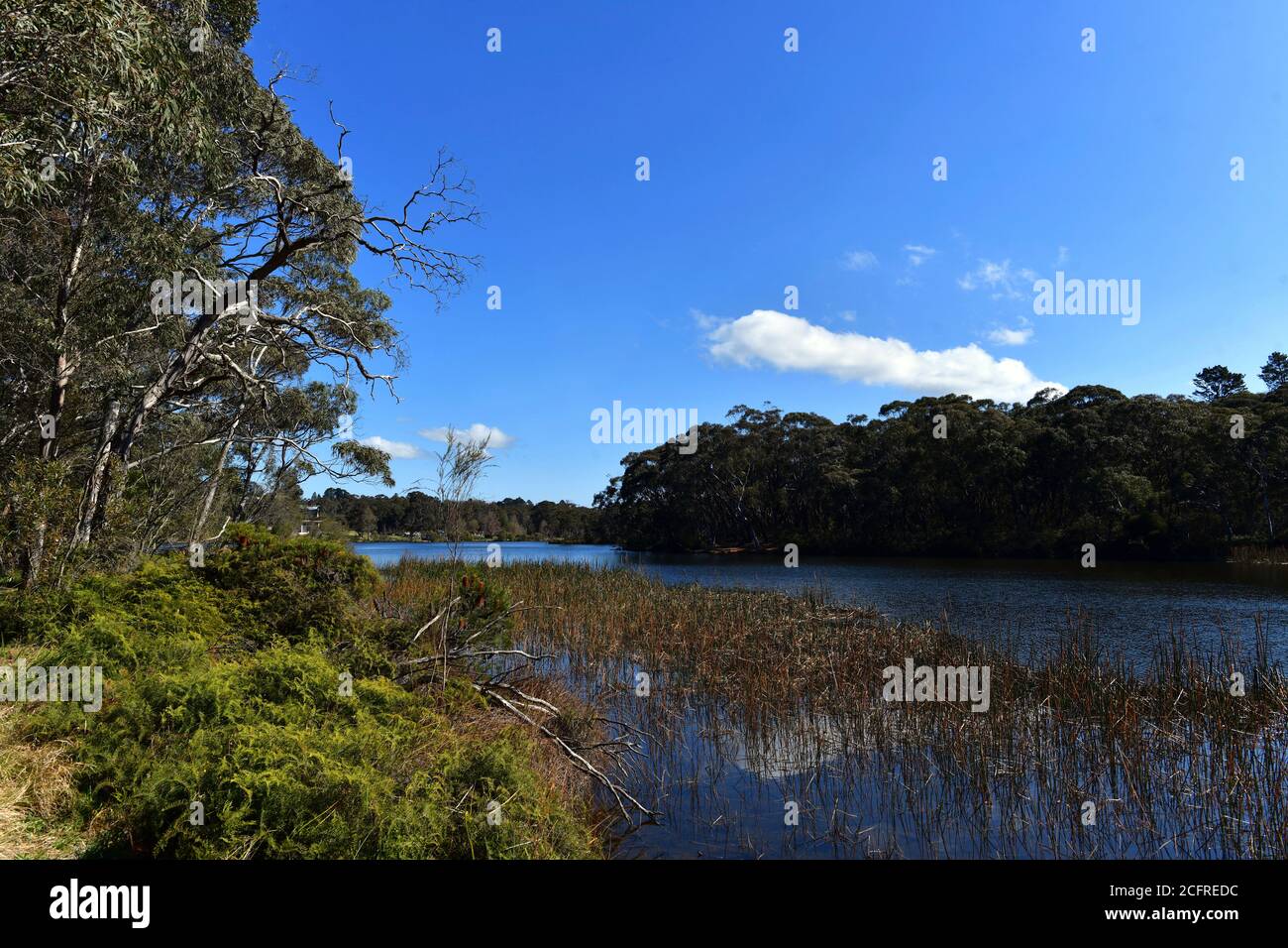 Vue sur le lac Wentworth Falls dans les Blue Mountains, en Australie Banque D'Images