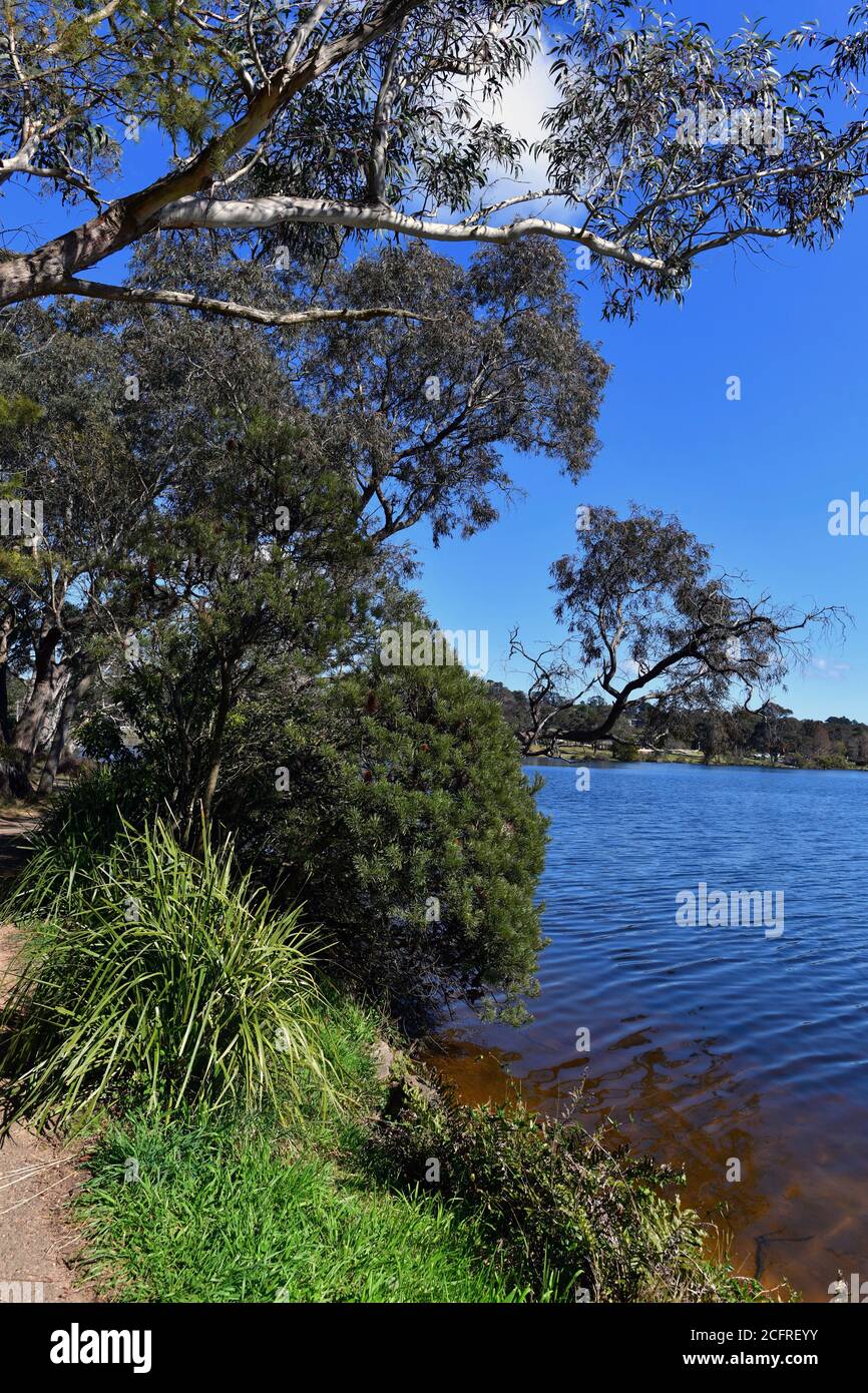 Vue sur le lac Wentworth Falls dans les Blue Mountains, en Australie Banque D'Images