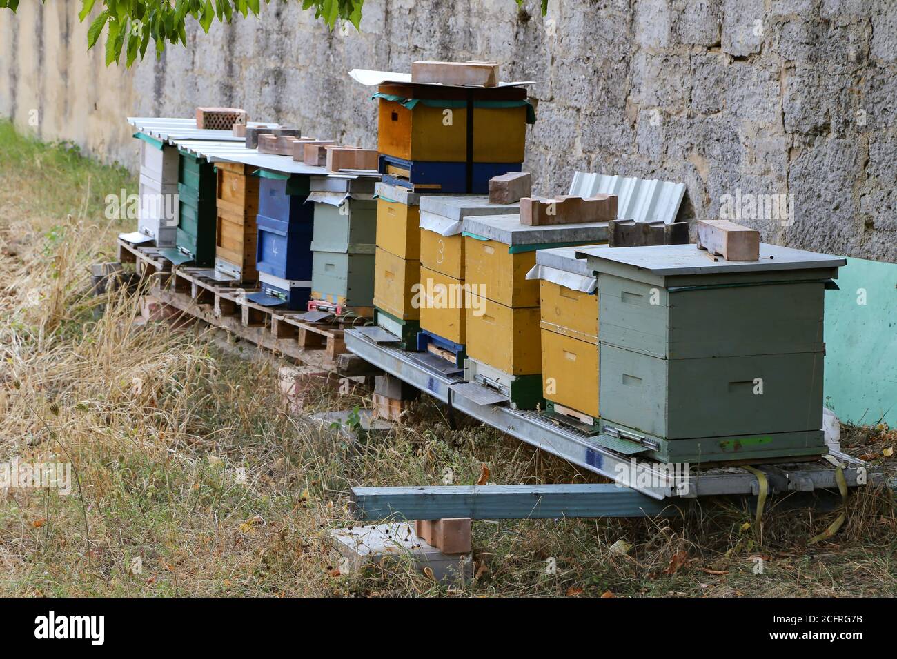 Gros plan des apiculteurs à l'extérieur, près du mur en pierre Banque D'Images