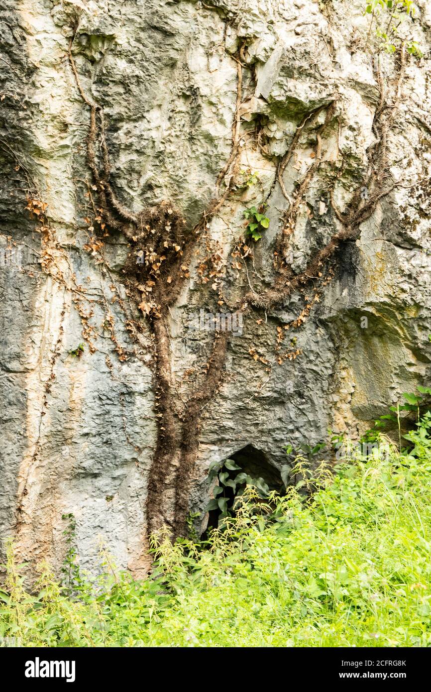 Photos étonnantes: Eglise de Nicodim, Grottes, le pont de Dieu Banque D'Images