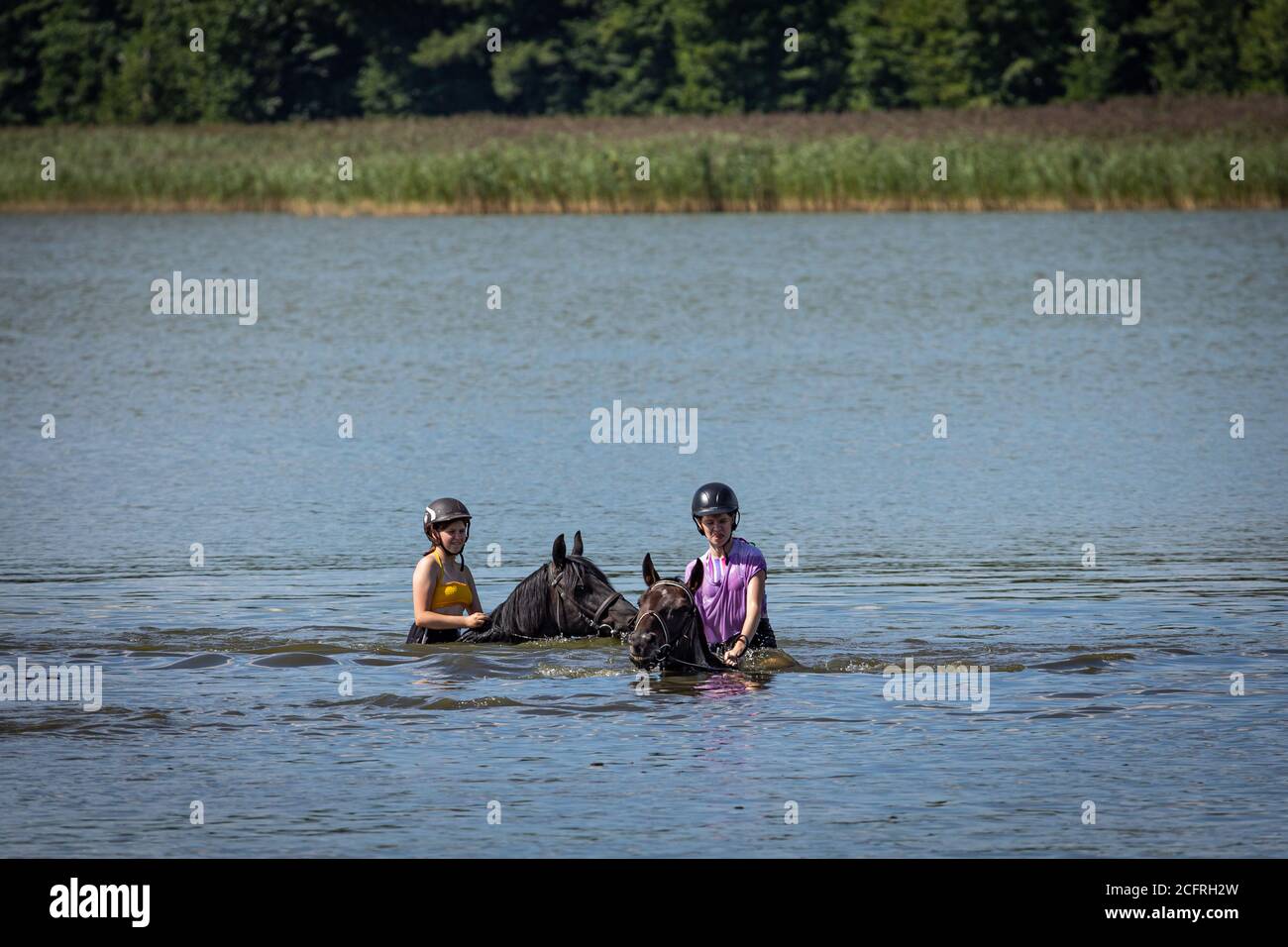Deux adolescentes nageant dans le lac avec les chevaux Banque D'Images