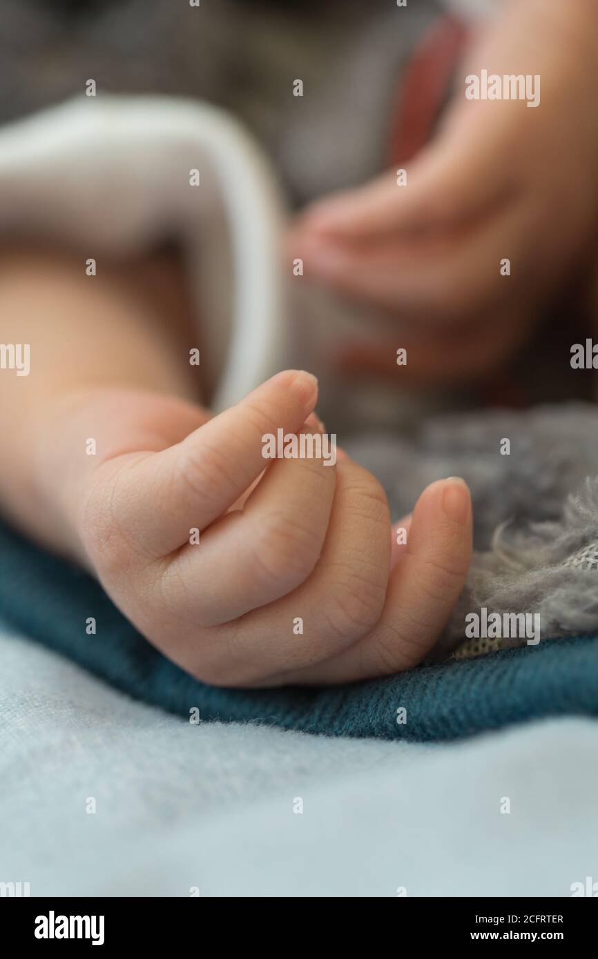 gros plan de la main d'un bébé, montrant les détails des doigts et avec un arrière-plan flou Banque D'Images