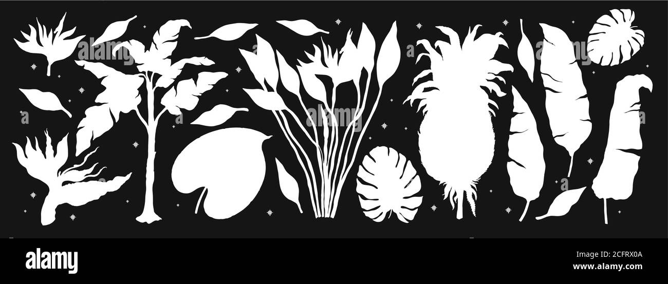 Ensemble de silhouette de plantes tropicales.ensemble de dessin à la main Line art. Fleur de jungle de palmier. Illustration de Vecteur