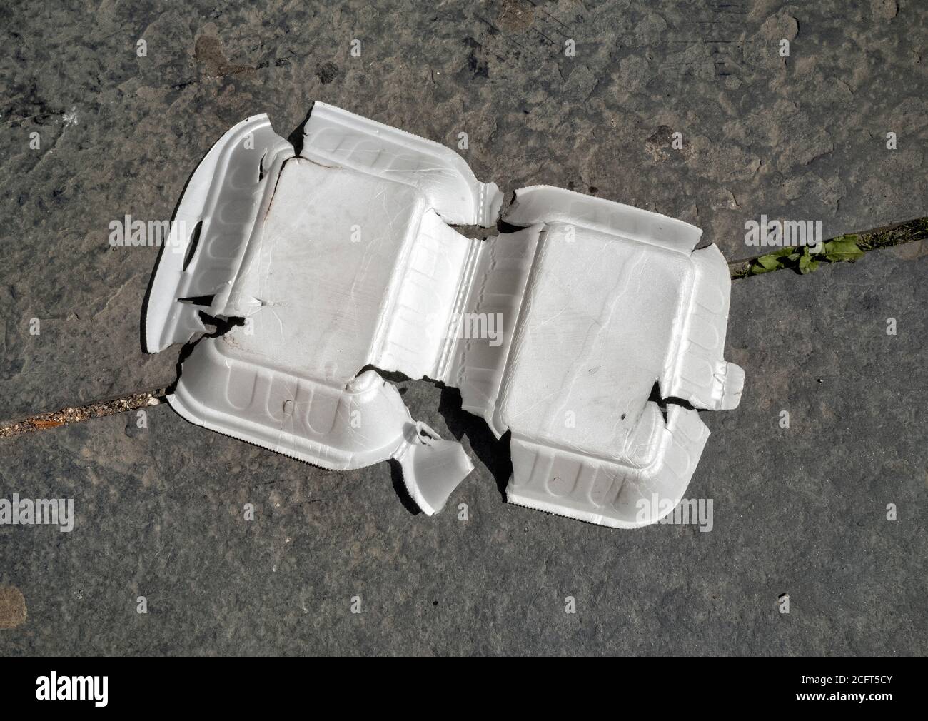 Contenant alimentaire en polystyrène jeté Banque D'Images