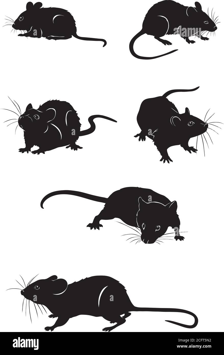 Souris, rat, diverses poses, mouvements et angles de figures, noir, silhouette, ensemble, vecteur, illustration Illustration de Vecteur