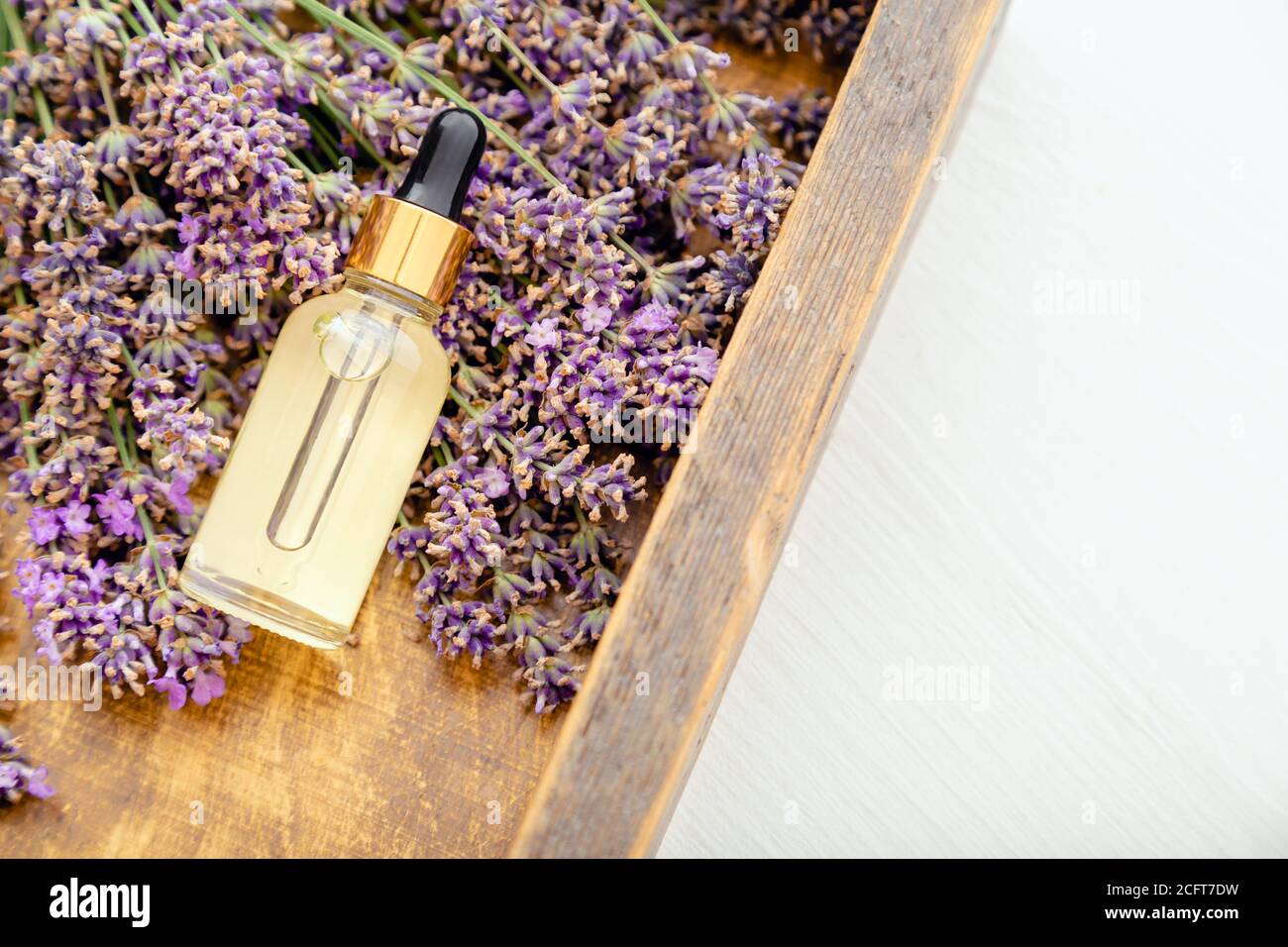 Lavande sérum, huile essentielle dans un flacon compte-gouttes en verre sur des fleurs de lavande fraîches. Lavande cosmétique. Produits de beauté spa. Déposer à plat les herbes d'apothécaire Banque D'Images