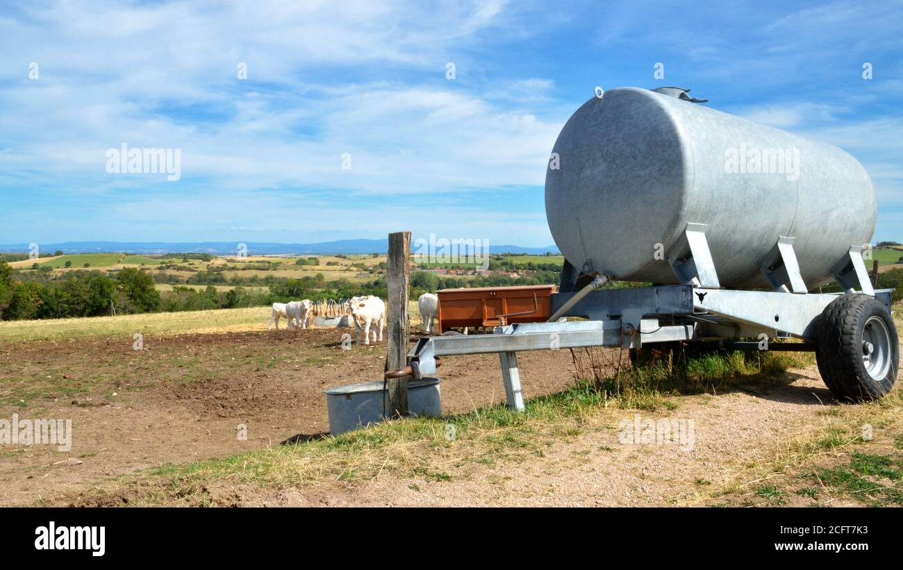 Équipement agricole avec une remorque-citerne pour le bétail pendant l'été de la sécheresse. Banque D'Images