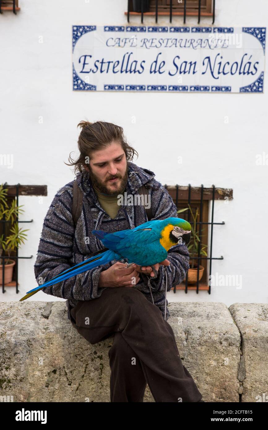 Mirador de San Nicolás, El Albaicín, Grenade, Andalousie, Espagne: Un homme avec une macaw Banque D'Images
