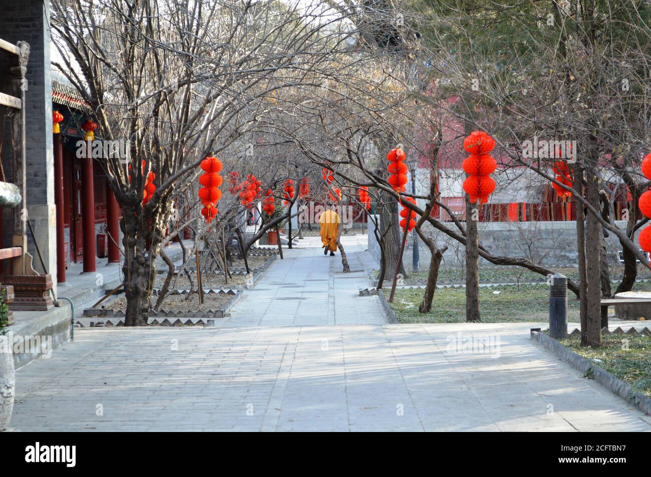 Pékin / Chine - 2 février 2014 : Temple Fayuan (Temple de l'origine du Dharma), construit en 645 est l'un des plus anciens temples bouddhistes de l'été Banque D'Images