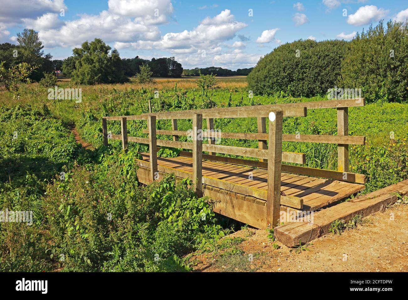 Une passerelle en bois au-dessus d'une digue sur une promenade sur le canal par le North Walsham et le canal Dilham disused à North Walsham, Norfolk, Angleterre, Royaume-Uni. Banque D'Images