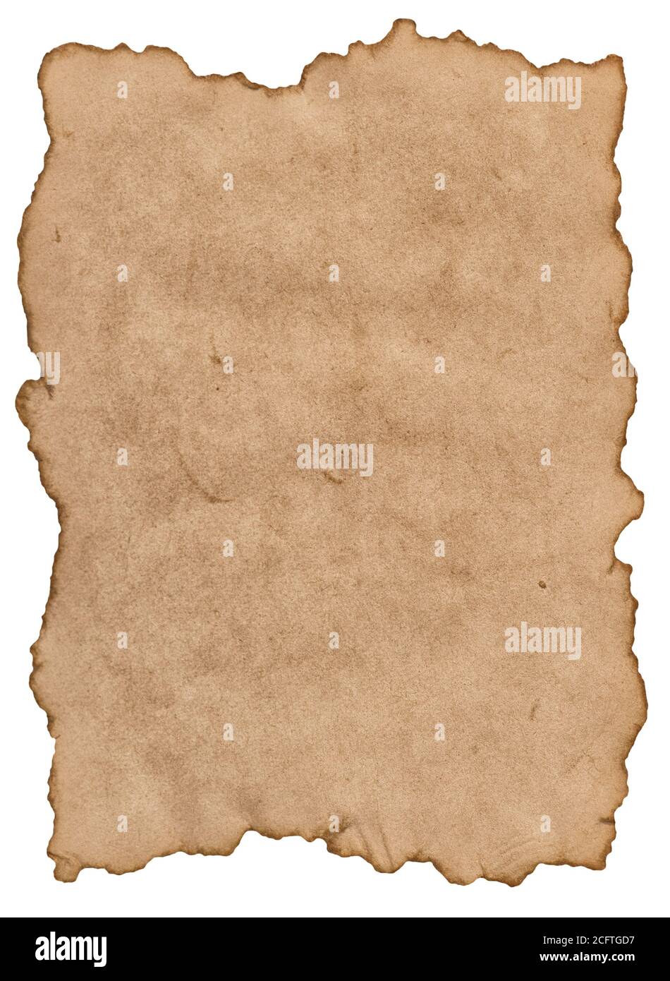 Feuille de papier parchemin avec bords déchirés isolée sur fond blanc Banque D'Images