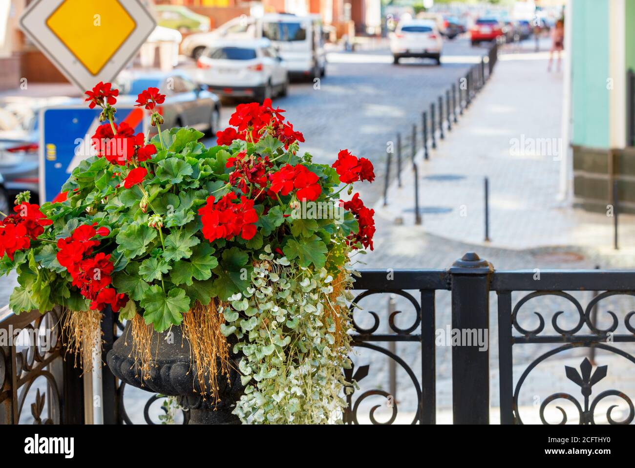Un vase de géraniums rouge vif orne le balcon avant du bâtiment contre une rue de ville floue, foyer sélectif, espace de texte. Banque D'Images