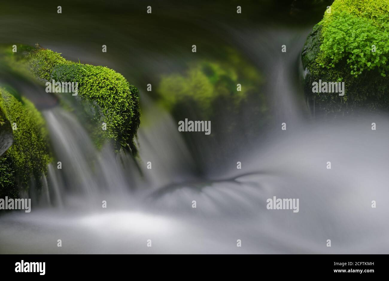 Détail de belles cascades parmi des roches vertes de mousse, prises dans une rivière de Charlevoix, Québec Banque D'Images