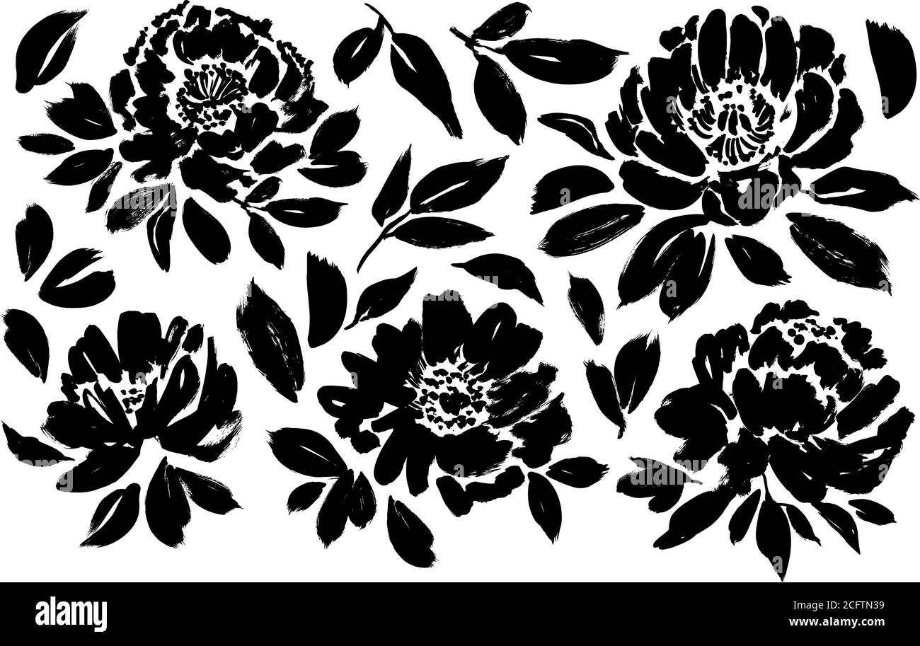 Roses, pivoines, chrysanthèmes ensemble vectoriel. Illustration de Vecteur