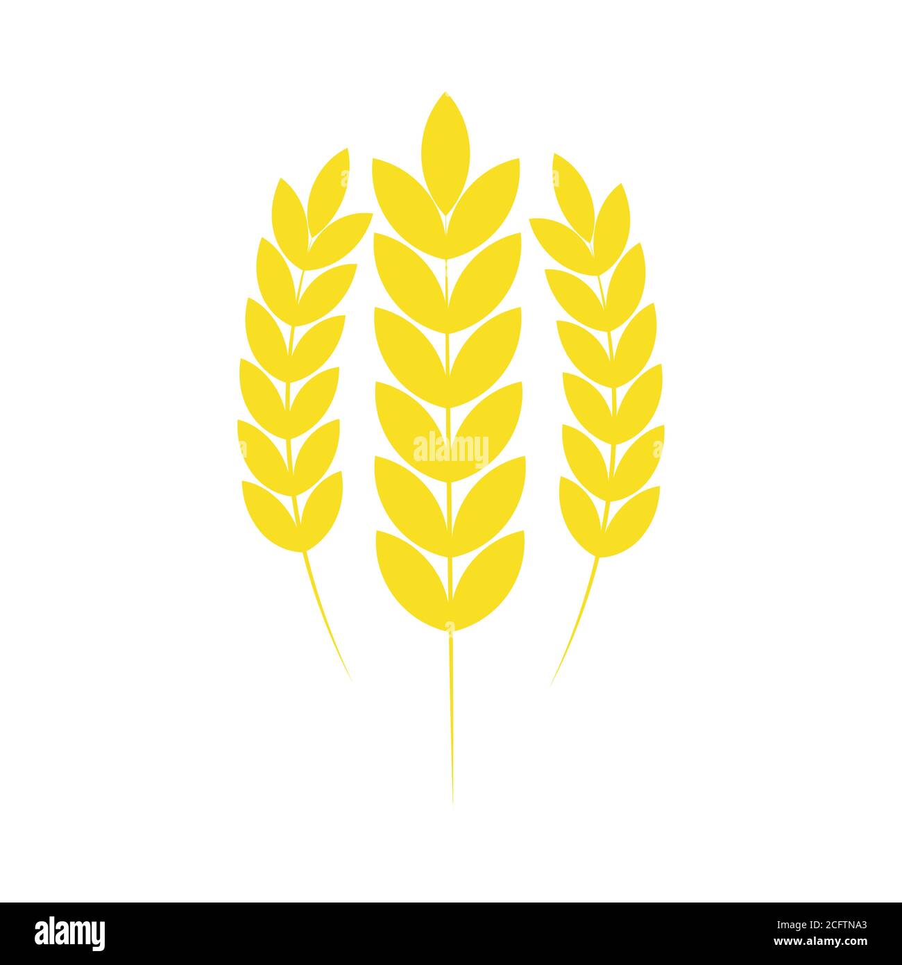 Trois icônes de blé isolées. Symbole de blé agricole jaune Illustration de Vecteur