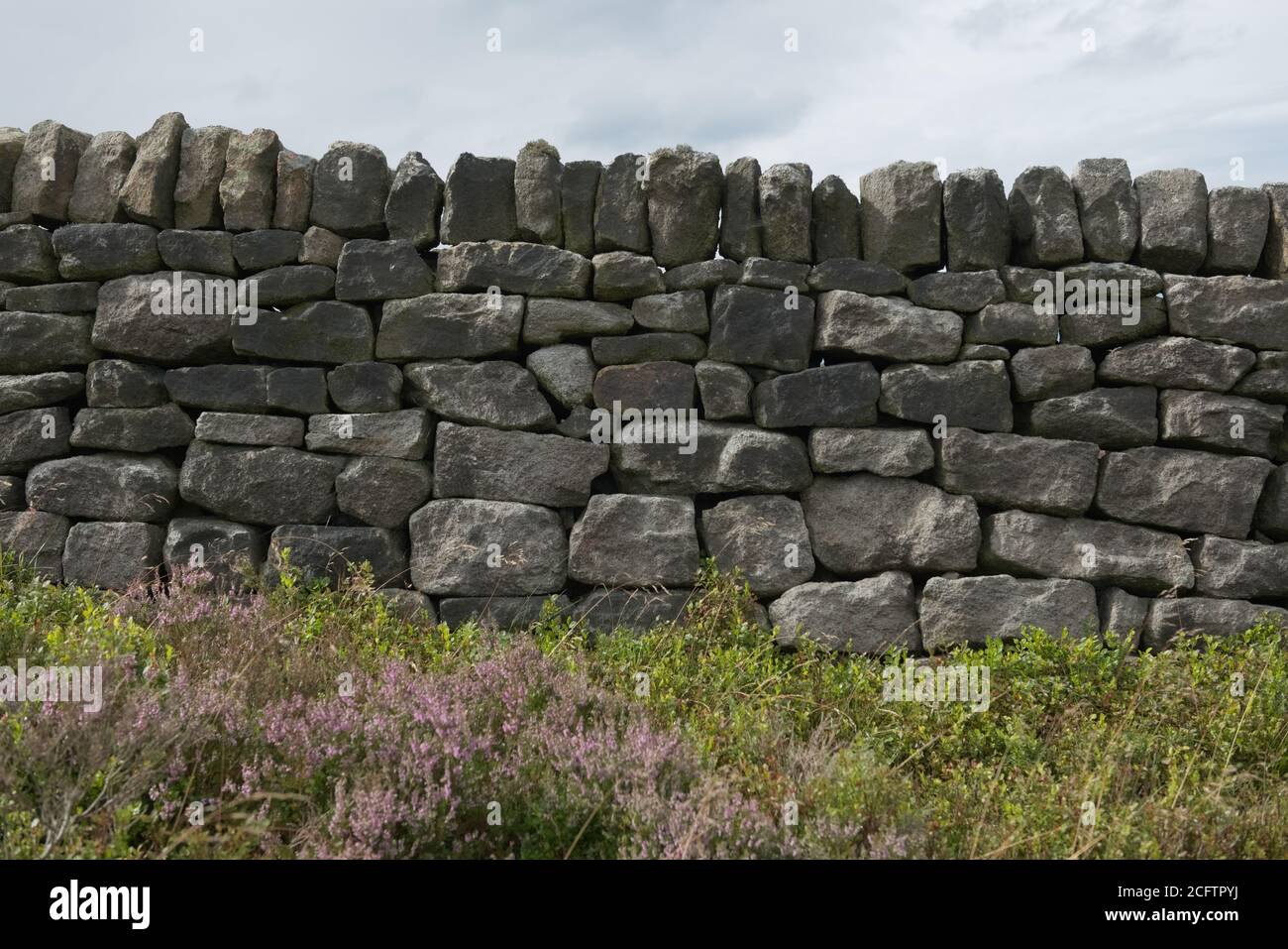 5 - de nombreuses tailles différentes de pierres ou de briques composent ce mur de pierre sec. Texture d'arrière-plan simple avec zone de pointe chinée et plantes en premier plan Banque D'Images