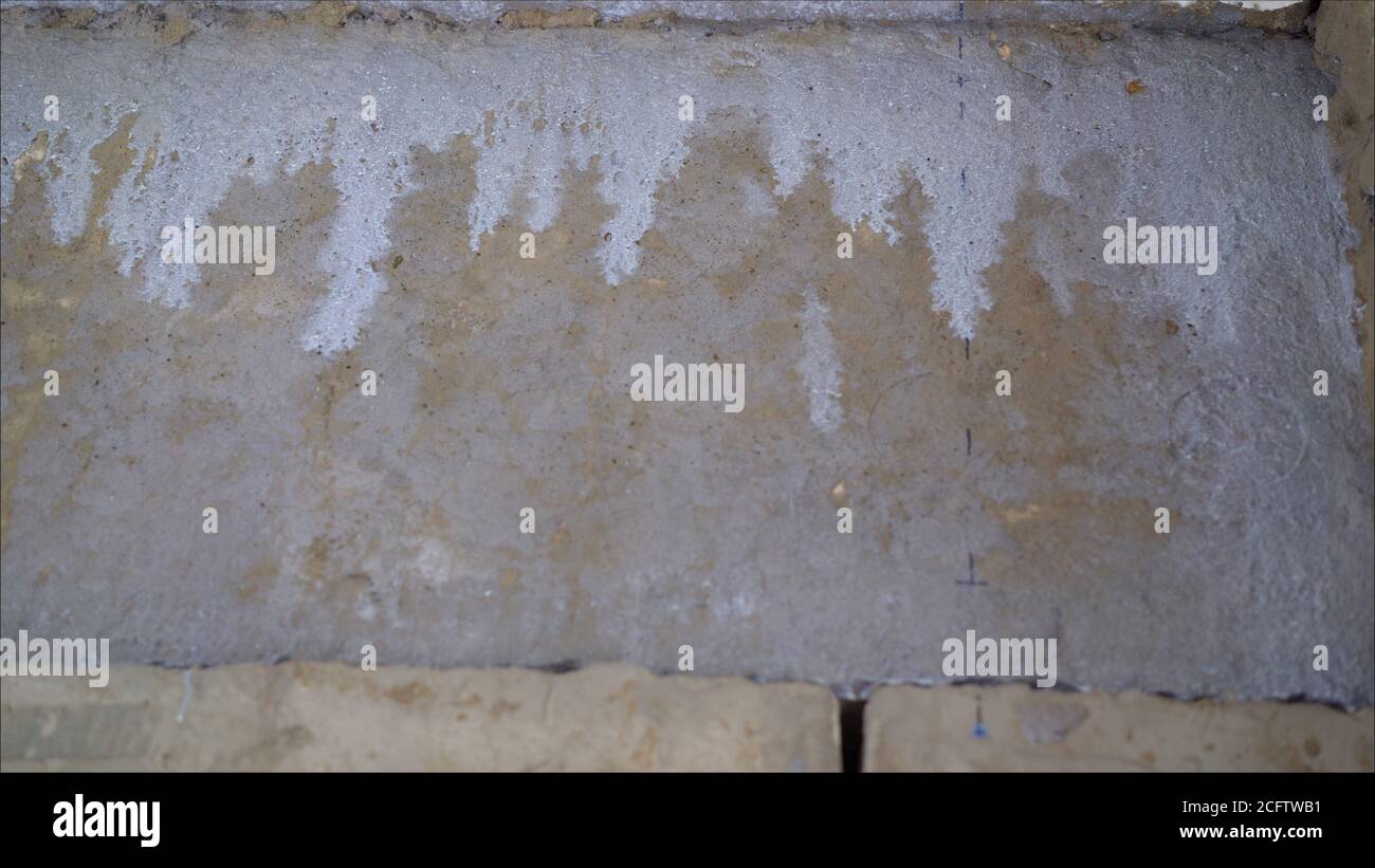 Brosse rotative à poignée longue appliquant de la peinture primaire blanche sur un mur en béton avec des blocs de verre dans une partie du concept de cadre de porte, de bâtiment et de rénovation Banque D'Images