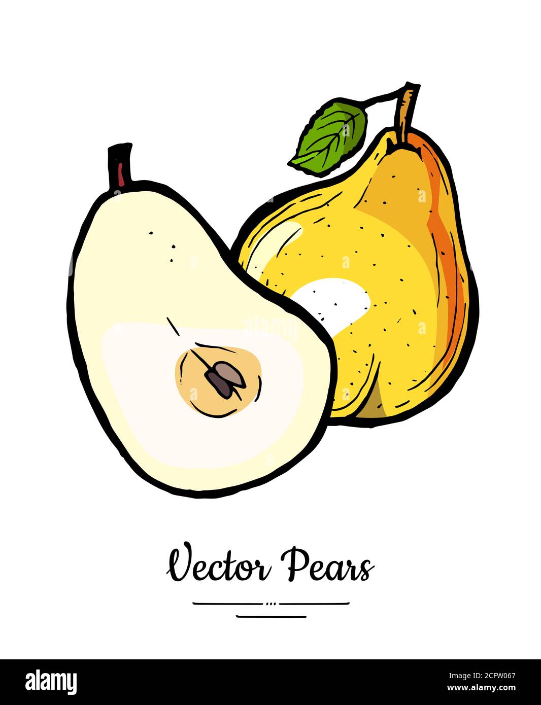 Poires fruits vecteur isoler. Poire entière hachée demi coupe feuille feuille dessin main illustration icône végétarienne logo croquis Illustration de Vecteur