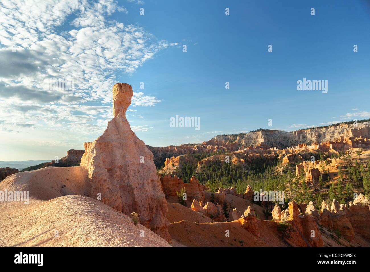 Vue de Tall Hoodoo, parc national de Bryce Canyon, Utah, États-Unis Banque D'Images
