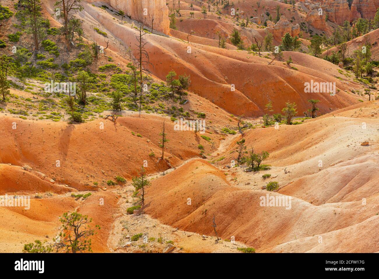 Vue sur la vallée de la piste Navajo Loop, parc national de Bryce Canyon, Utah, États-Unis Banque D'Images