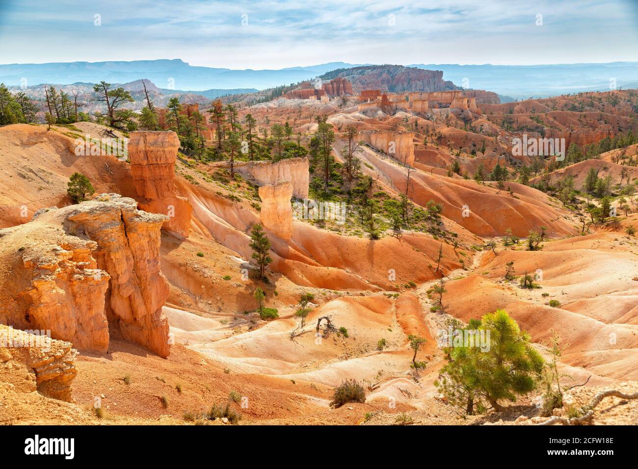 Vue sur la vallée de Navajo Loop Trail, parc national de Bryce Canyon, Utah, États-Unis Banque D'Images