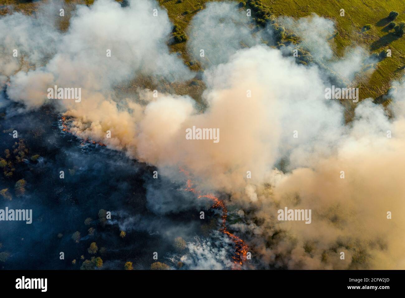 Feu de forêt en saison sèche. Fumée provenant de l'herbe brûlée et des arbres, vue aérienne du dessus. Banque D'Images
