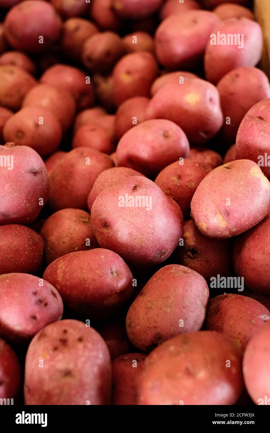 Pommes de terre rouges fraîches à vendre sur le marché agricole local de Montgomery, Alabama, États-Unis. Banque D'Images