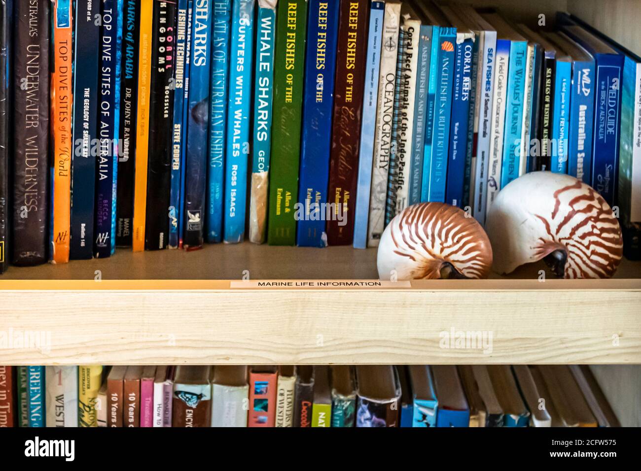 Bibliothèque à bord du bateau de croisière aventure True North Banque D'Images