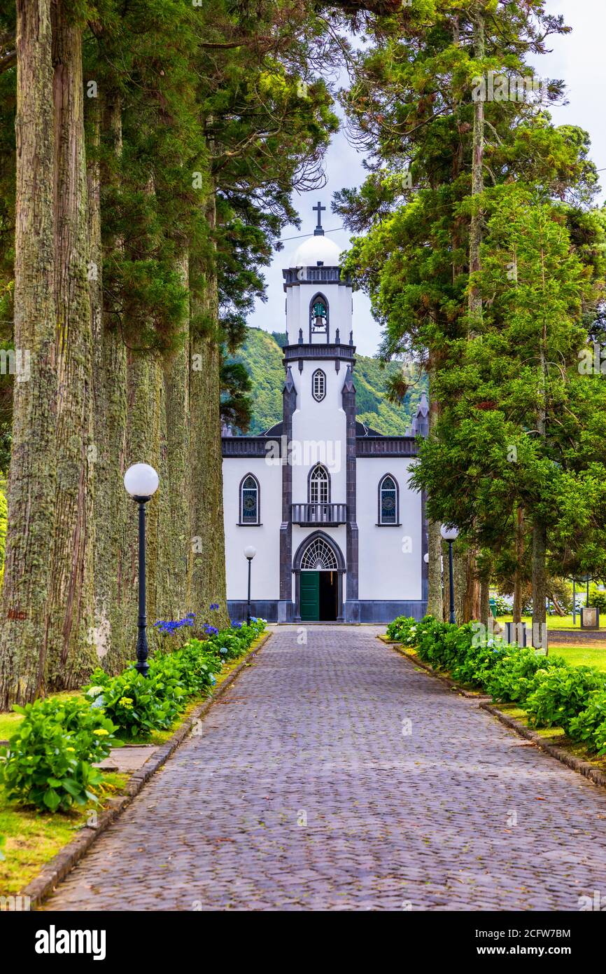 Église de Sao Nicolau (Saint Nicolas) avec une allée de grands arbres et de fleurs d'hortensia à Sete cidades sur l'île de Sao Miguel, Açores, Portugal. Paroisse Banque D'Images