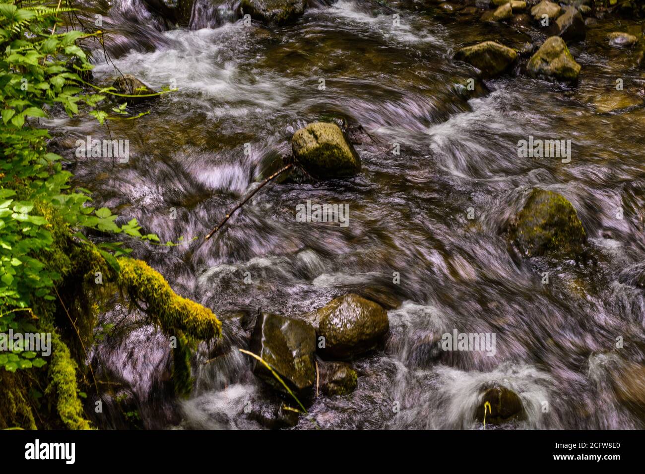 Longue exposition de la rivière dans l'aire de loisirs de Mt Hood Banque D'Images