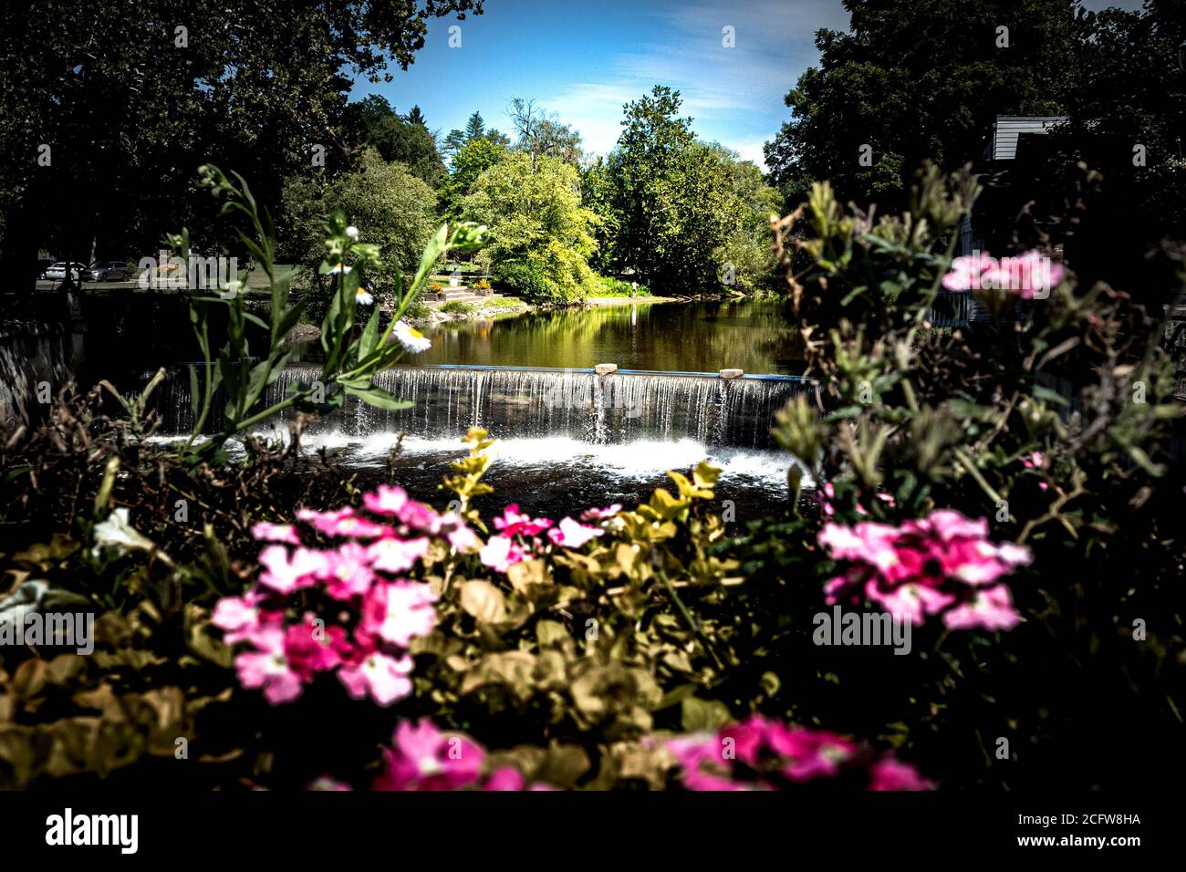 Une vue unique d'une rivière et d'une chute d'eau dans encadré par des plantes vertes et des fleurs roses Banque D'Images