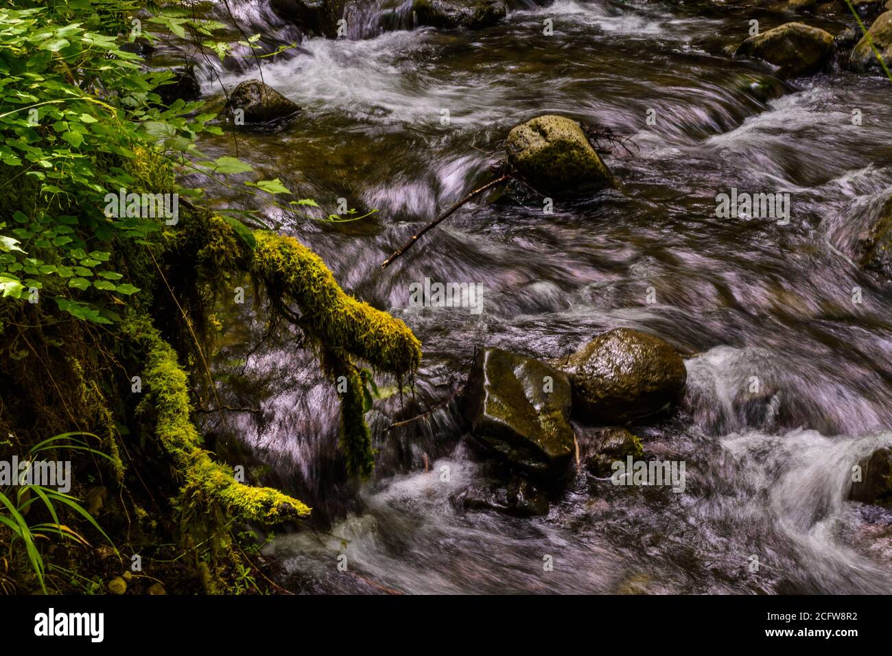 Longue exposition de la rivière dans l'aire de loisirs de Mt Hood Banque D'Images