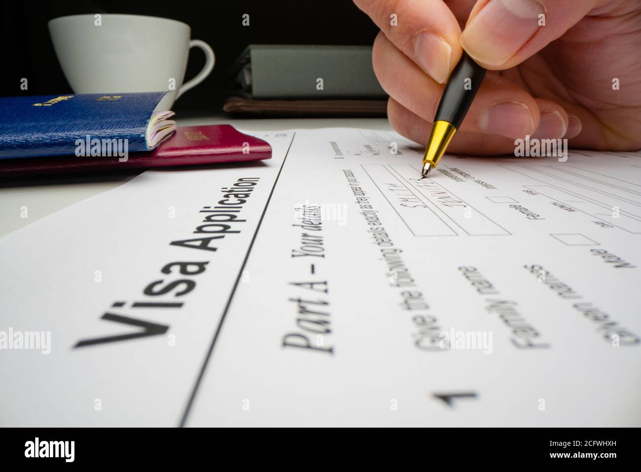 Le demandeur remplit le formulaire de demande de visa Banque D'Images