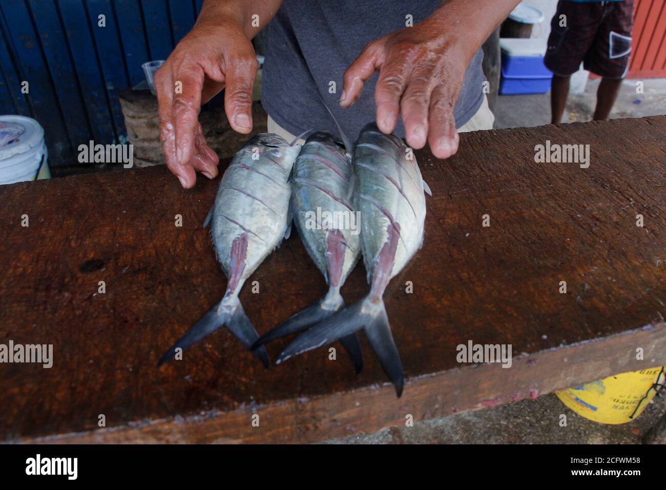 ACAPULCO, MEXIQUE - AOÛT 25 : pêcheurs de la ville de Jardines Mangos à Acapulco dans l'État de Guerrero, pendant le nettoyage du poisson pour les offrir aux clients, les habitants de cette région sont dédiés à la pêche, Une tradition qui vient de générations mais en raison du blocus par la nouvelle pandémie de ventes de coronavirus ont été rares et les poissons ont été gâtés par ne pas être en mesure de les vendre, car leur principale source de revenu est le tourisme. Il y a quelques jours, les autorités ont autorisé la réouverture des centres touristiques après 5 mois avec un programme pour réactiver l'économie et ont bene Banque D'Images