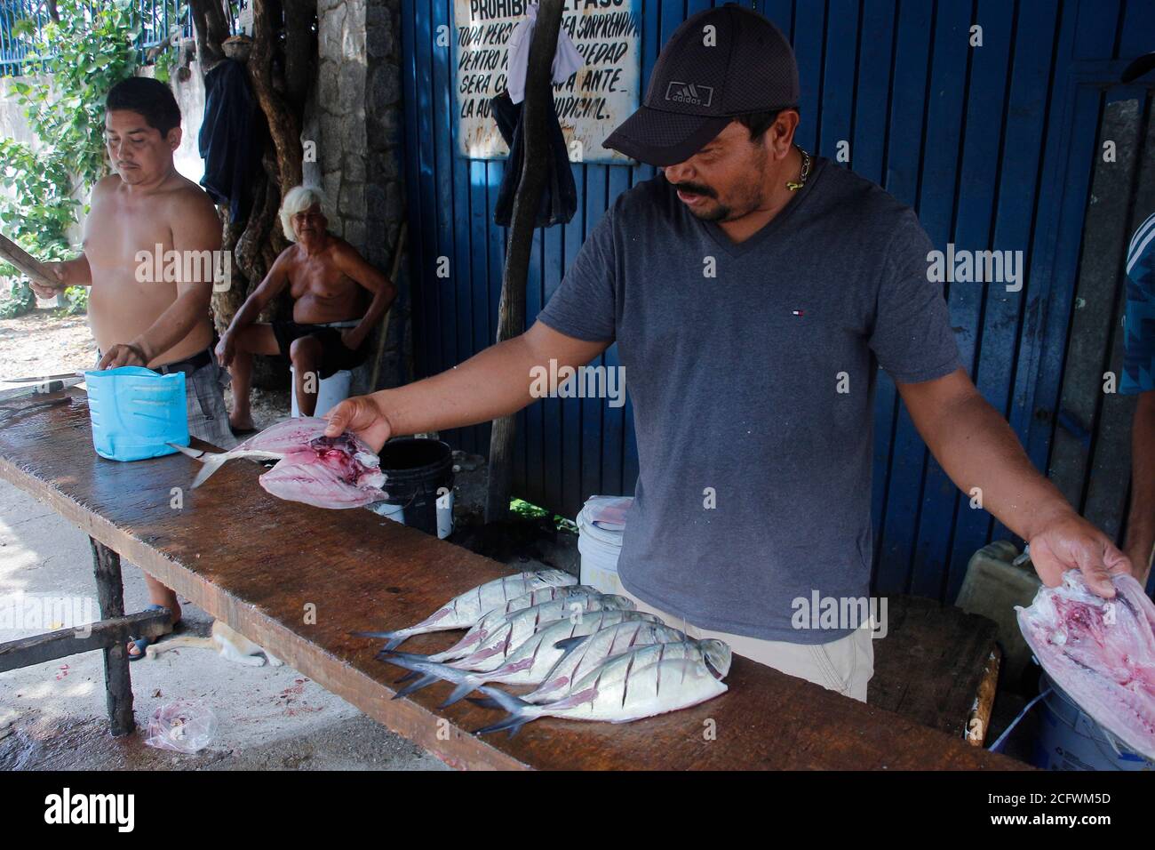ACAPULCO, MEXIQUE - AOÛT 25 : pêcheurs de la ville de Jardines Mangos à Acapulco dans l'État de Guerrero, pendant le nettoyage du poisson pour les offrir aux clients, les habitants de cette région sont dédiés à la pêche, Une tradition qui vient de générations mais en raison du blocus par la nouvelle pandémie de ventes de coronavirus ont été rares et les poissons ont été gâtés par ne pas être en mesure de les vendre, car leur principale source de revenu est le tourisme. Il y a quelques jours, les autorités ont autorisé la réouverture des centres touristiques après 5 mois avec un programme pour réactiver l'économie et ont bene Banque D'Images
