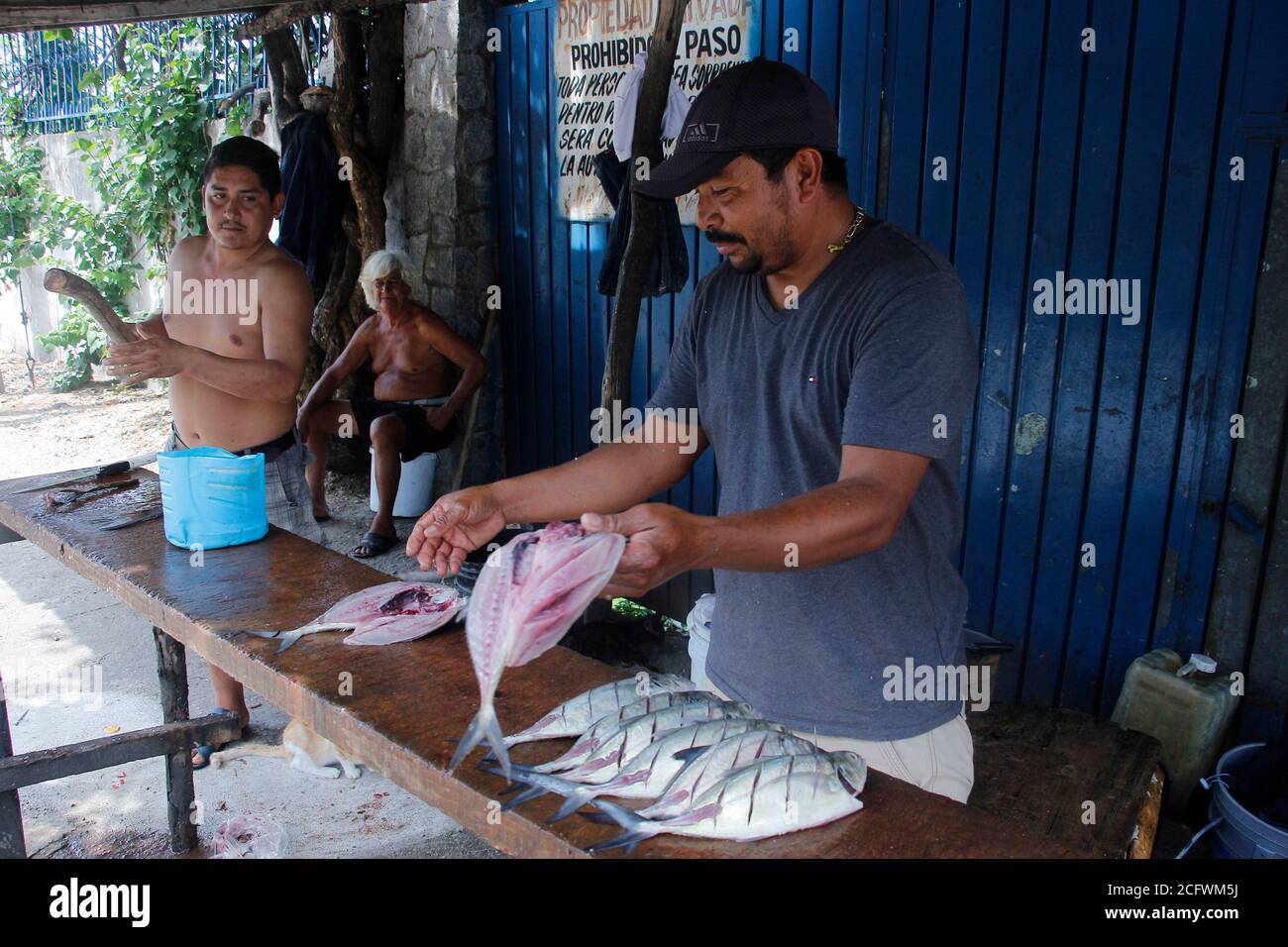 ACAPULCO, MEXIQUE - AOÛT 25 : pêcheurs de la ville de Jardines Mangos à Acapulco dans l'État de Guerrero, pendant le nettoyage du poisson pour les offrir aux clients, les habitants de cette région sont dédiés à la pêche, Une tradition qui vient de générations mais en raison du blocus par la nouvelle pandémie de ventes de coronavirus ont été rares et les poissons ont été gâtés par ne pas être en mesure de les vendre, car leur principale source de revenu est le tourisme. Il y a quelques jours, les autorités ont autorisé la réouverture des centres touristiques après 5 mois avec un programme pour réactiver l'économie et ont bene Banque D'Images