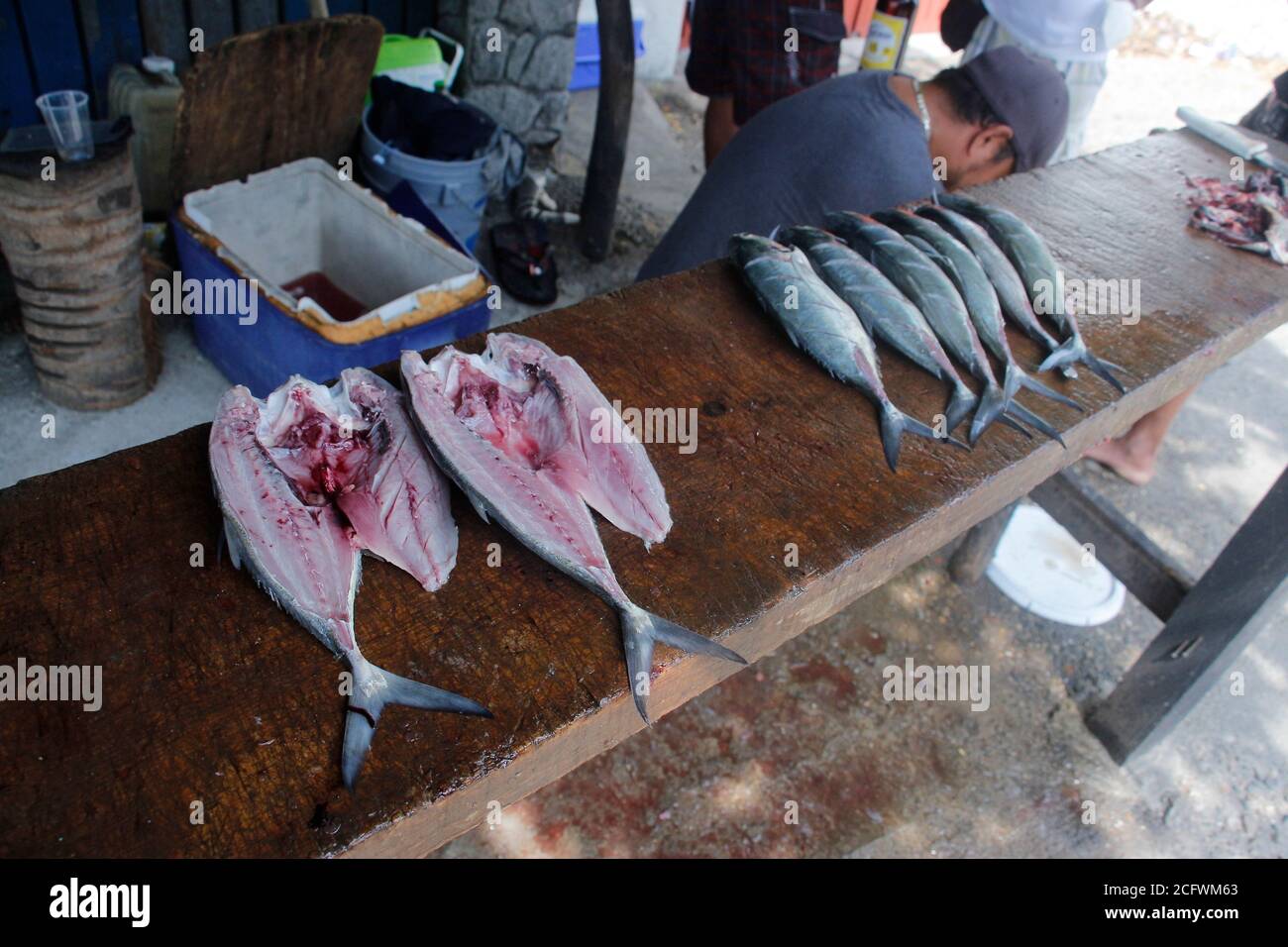 ACAPULCO, MEXIQUE - AOÛT 25 : pêcheurs de la ville de Jardines Mangos à Acapulco dans l'État de Guerrero, pendant le nettoyage du poisson pour les offrir aux clients, les habitants de cette région sont dédiés à la pêche, Une tradition qui vient de générations mais en raison du blocus par la nouvelle pandémie de ventes de coronavirus ont été rares et les poissons ont été gâtés par ne pas être en mesure de les vendre, car leur principale source de revenu est le tourisme. Il y a quelques jours, les autorités ont autorisé la réouverture des centres touristiques après 5 mois avec un programme pour réactiver l'économie et ont bene Banque D'Images