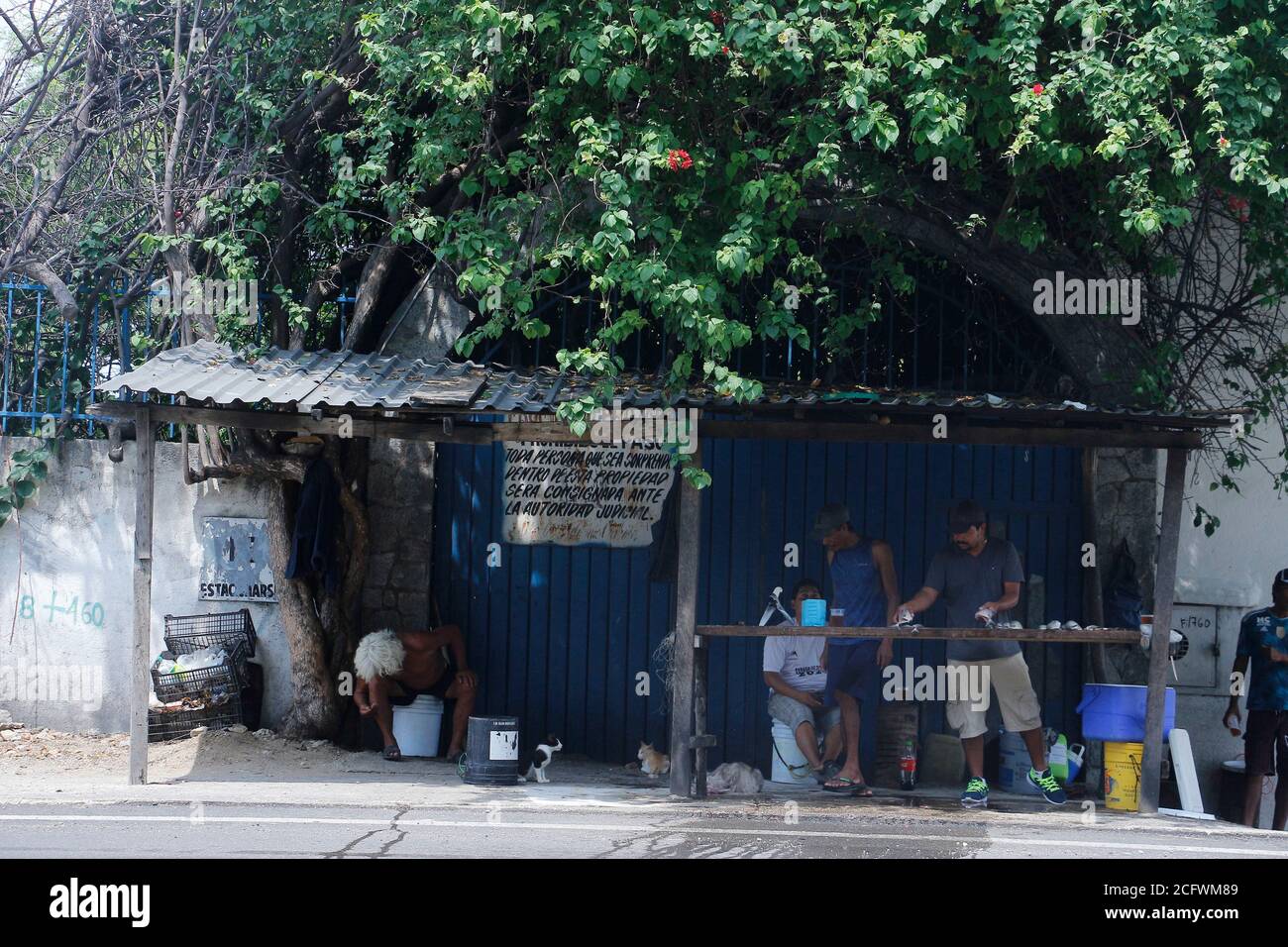 ACAPULCO, MEXIQUE - AOÛT 25 : pêcheurs de la ville de Jardines Mangos à Acapulco dans l'État de Guerrero, pendant le nettoyage du poisson pour les offrir aux clients, les habitants de cette région sont dédiés à la pêche, Une tradition qui vient de générations mais en raison du blocus par la nouvelle pandémie de ventes de coronavirus ont été rares et les poissons ont été gâtés par ne pas être en mesure de les vendre, car leur principale source de revenu est le tourisme. Il y a quelques jours, les autorités ont autorisé la réouverture des centres touristiques après 5 mois avec un programme pour réactiver l'économie et ont bene Banque D'Images