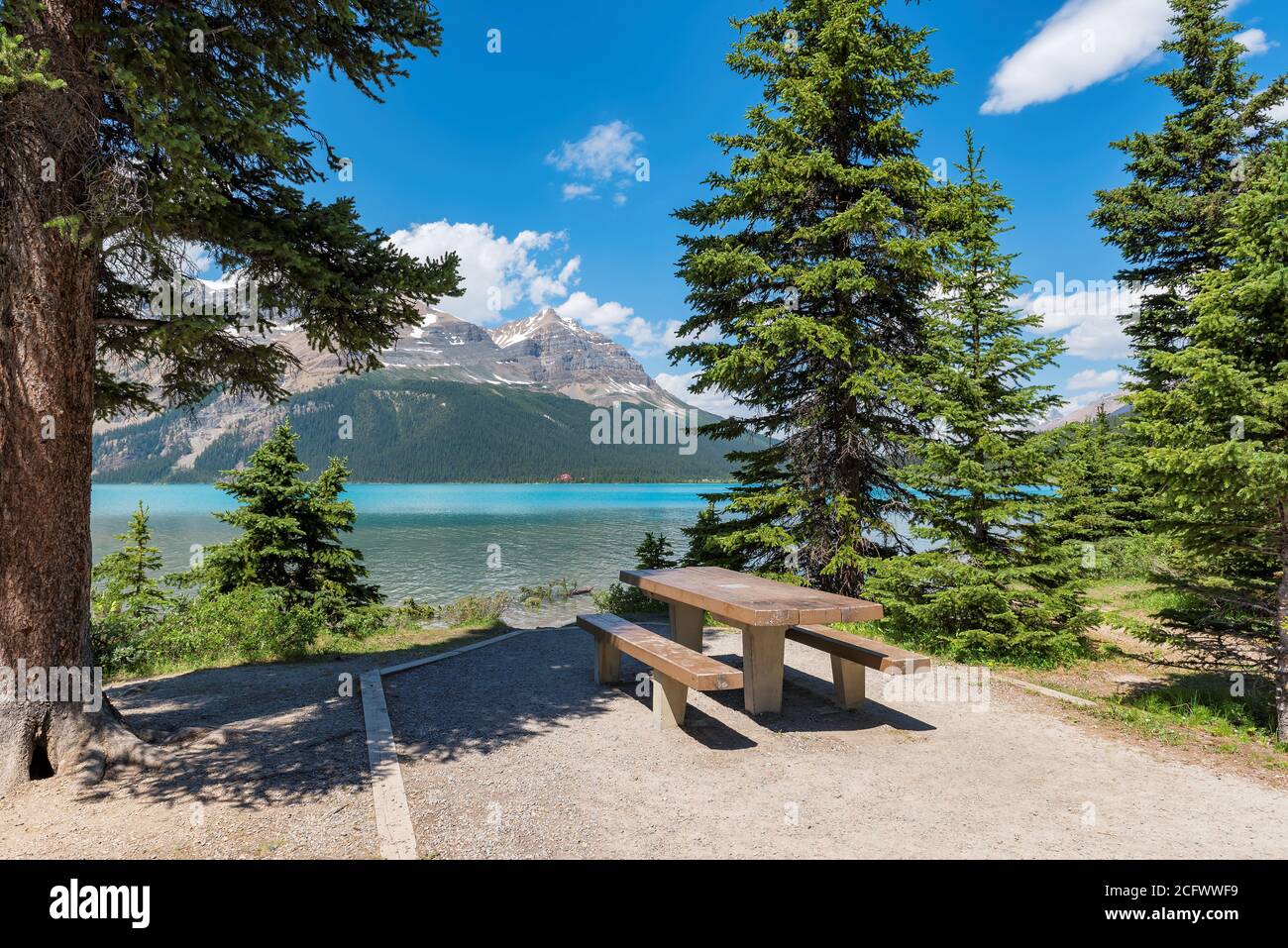 Une table de pique-nique sous les arbres de la plage avec une vue magnifique sur le lac Bow, Alberta, Canada Banque D'Images