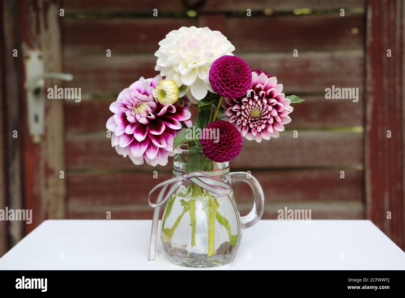 bouquet de dahlias blanc et violet dans vase en verre Banque D'Images
