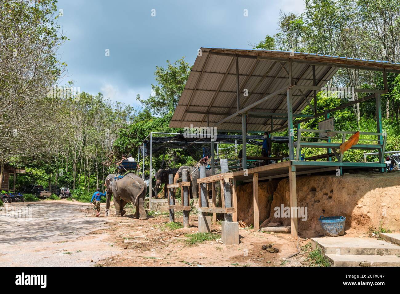 Phuket, Thaïlande - 29 novembre 2019 : vue sur le camp des éléphants et le trekking des éléphants dans la jungle à Phuket, Thaïlande. Les éléphants attendent sous Banque D'Images