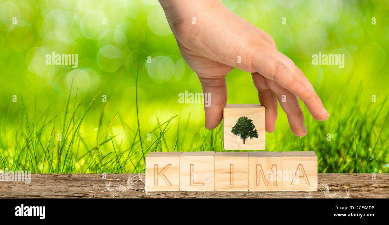 cubes en bois avec l'inscription allemande Climate et un arbre comme un sysmbol fpr nature Banque D'Images