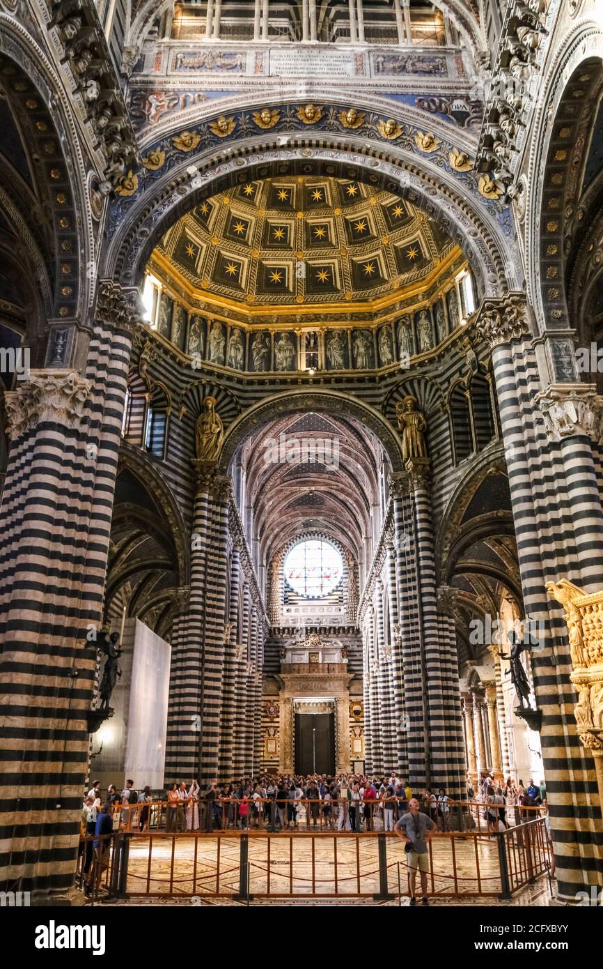 Vue magnifique sur la nef centrale avec des bandes de marbre noir et blanc sur les murs et les colonnes à l'intérieur du Duomo di Siena. Les visiteurs admirent le marbre... Banque D'Images