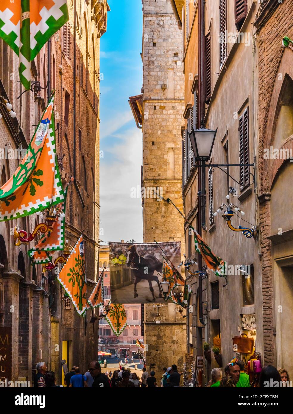 Superbe vue sur la célèbre via dei Pellegrini en direction de la place Piazza del Campo à Sienne. La rue est décorée de drapeaux de Selva, la forêt... Banque D'Images