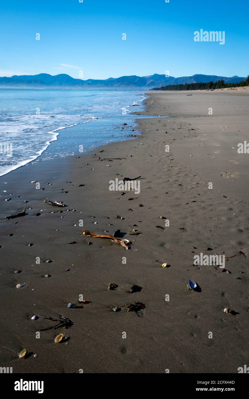 Plage sur Moturoa / Rabbit Island, Mapua, Nelson, South Island, Nouvelle-Zélande Banque D'Images
