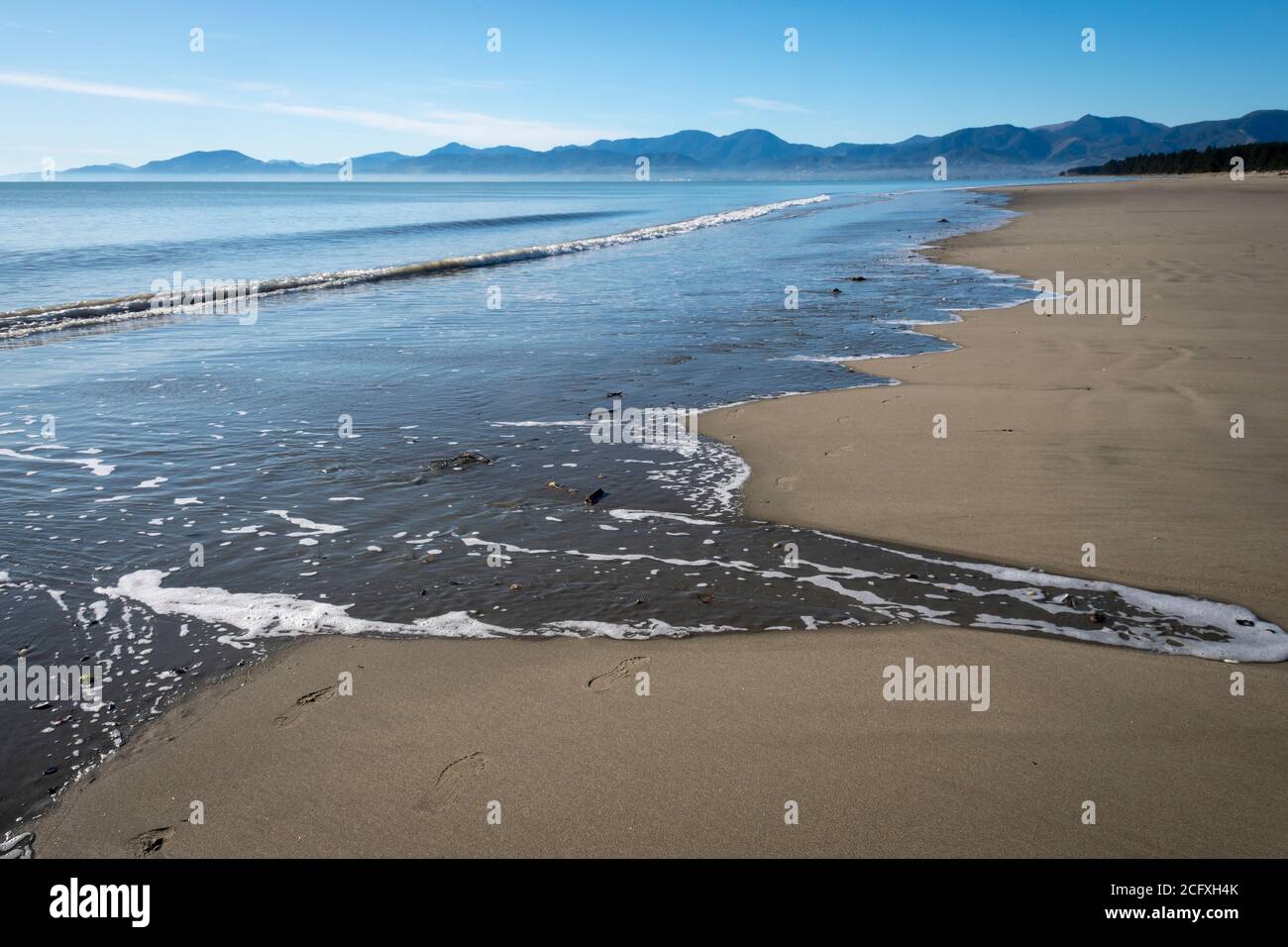 Plage sur Moturoa / Rabbit Island, Mapua, Nelson, South Island, Nouvelle-Zélande Banque D'Images