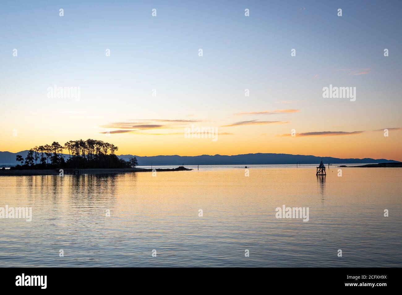 Arbres sur l'île de Haulashore dans la baie Tasman, Nelson, South Island, Nouvelle-Zélande Banque D'Images