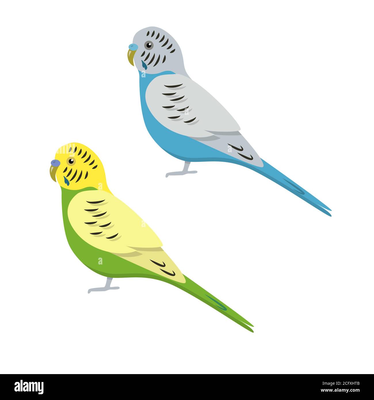 Icône de perroquet de Budgerigar ou de Budgie en forme de plat. Symbole oiseau tropical australien sur fond blanc Illustration de Vecteur