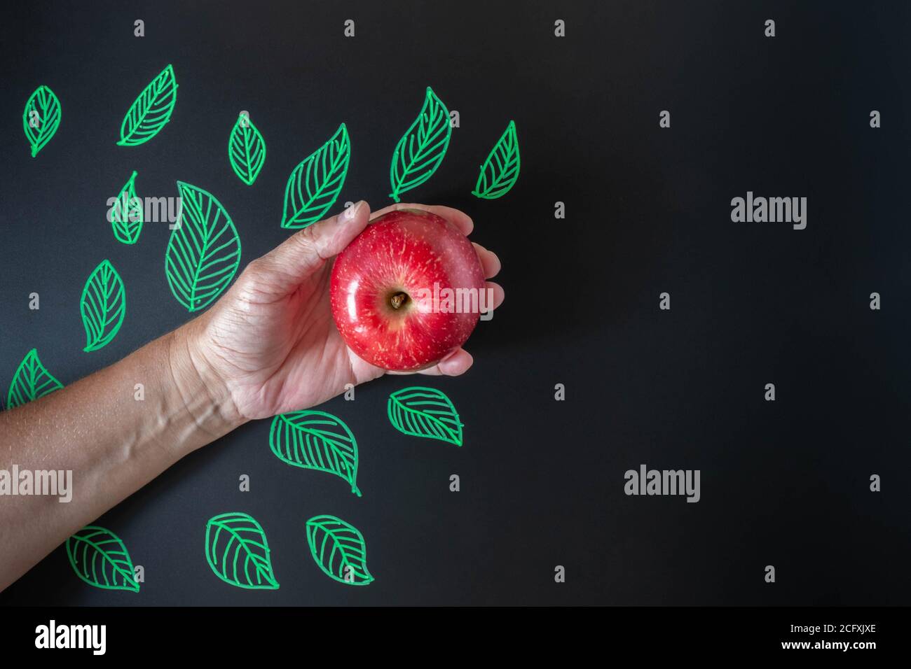 Main tenant la pomme rouge sur le tableau noir avec des feuilles vertes. Pomme en main sur fond noir avec photo de feuilles. Bonne journée des enseignants. Santé an Banque D'Images